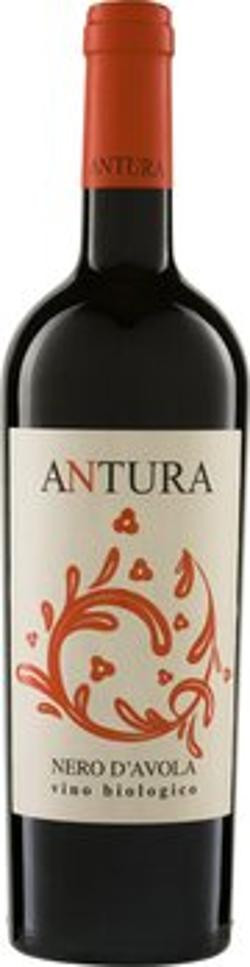 Produktfoto zu Nero d'Avola Sicilia DOP ANTUR 0,75l