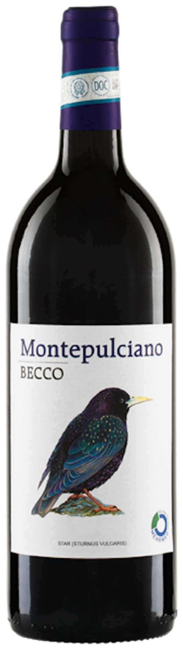 Produktfoto zu BECCO Montepulciano DOC 1l Mehrweg