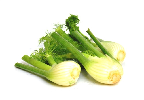 Fenchel, groß