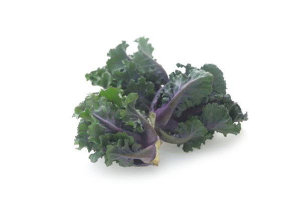 Produktfoto zu Infoblatt Flower Sprouts