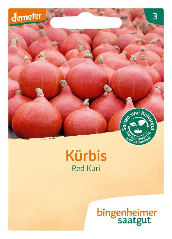 Produktfoto zu Kürbis Hokkaido Saatgut