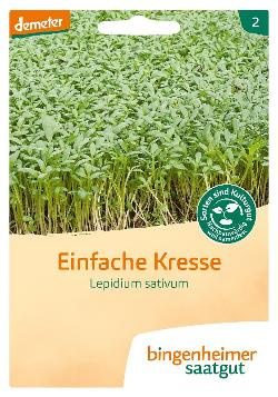 Produktfoto zu Kresse Saatgut