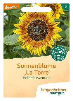 Produktfoto zu Sonnenblume Saatgut