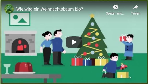 Video_Initiative-BioWeihnachtsbäume