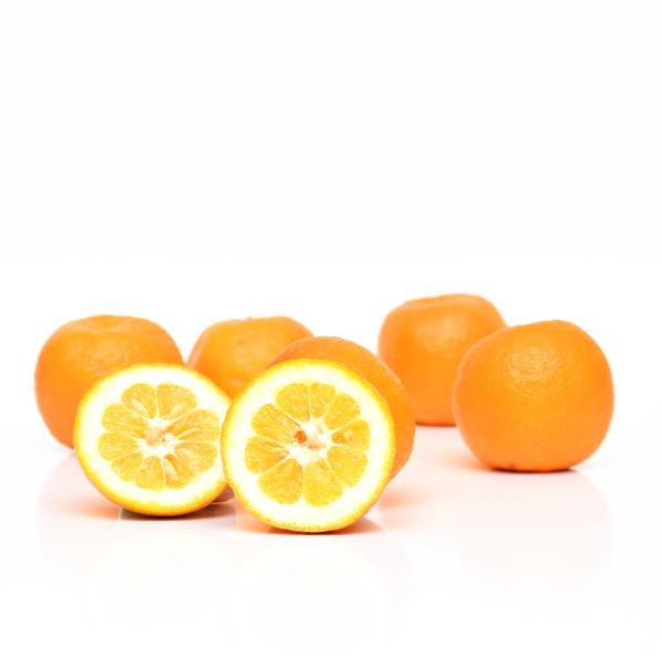 Produktfoto zu Bitterorange