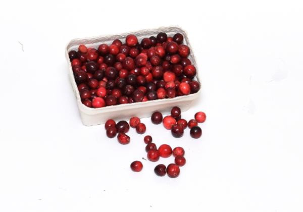 Produktfoto zu Cranberries frisch 200g