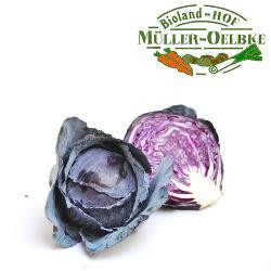 Produktfoto zu Rotkohl