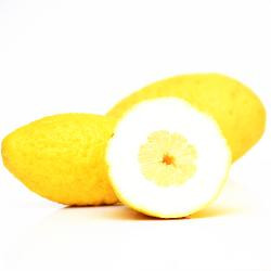 Produktfoto zu Cedro Zitronatzitrone