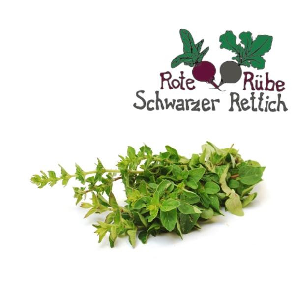 Produktfoto zu Oregano Bund