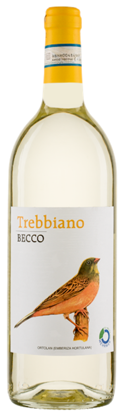 Produktfoto zu BECCO Trebbiano DOC 2021 1l Mehrweg