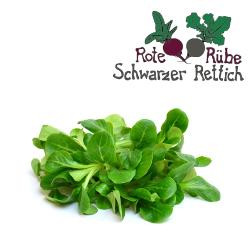 Produktfoto zu Feldsalat 100g-Tüte