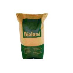 Produktfoto zu Weizen Bioland 10kg