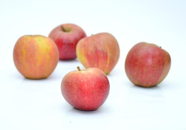 Produktfoto zu Apfel Boskoop rot, sehr groß