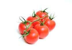 Produktfoto zu Strauchtomaten