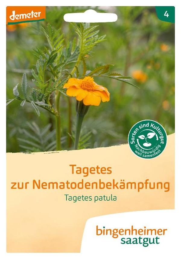 Produktfoto zu Tagetes Saatgut (Studentenblume)