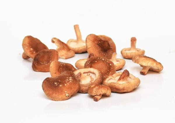 Produktfoto zu Shiitake Pilze