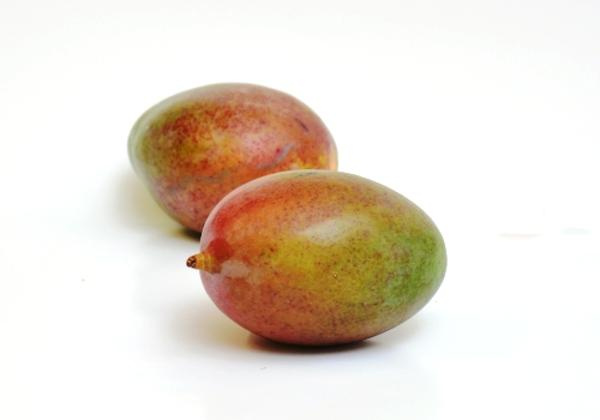 Produktfoto zu Mango Sorte Kent