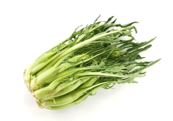 Produktfoto zu Puntarelle mit Info & Rezept