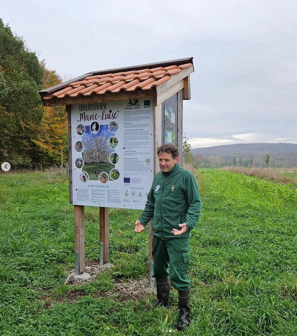 KI generiert: Das Bild zeigt einen Mann in grüner Kleidung, der neben einem überdachten Informationsschild in einer Wiese steht. Das Schild trägt den Titel "Streuobstwiese Marie-Luise" und informiert über ein Projekt oder eine Initiative in der Natur.