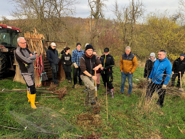 KI generiert: Eine Gruppe von Menschen pflanzt auf einer Wiese Bäume. Im Hintergrund sind ein Traktor und einige Werkzeuge zu sehen.