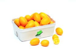 Produktfoto zu Kumquats ca. 250g Schälchen