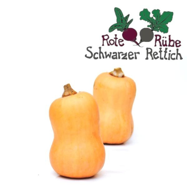 Produktfoto zu Kürbis Butternut