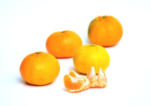 Produktfoto zu Satsuma