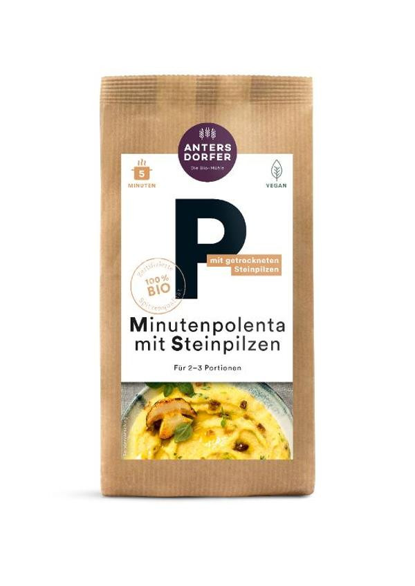 Produktfoto zu Minutenpol. Steinpil